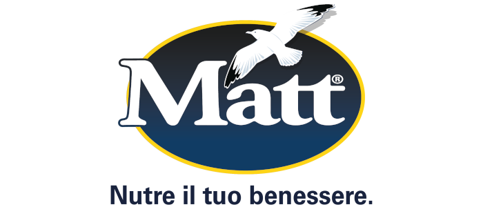 logopartner_Matt